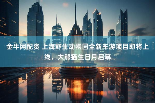 金牛网配资 上海野生动物园全新车游项目即将上线，大熊猫生日月启幕