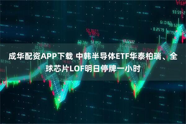 成华配资APP下载 中韩半导体ETF华泰柏瑞、全球芯片LOF明日停牌一小时